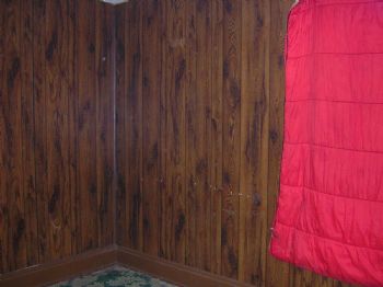 Hamilton4u profile photo