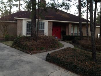 redcurls profile photo