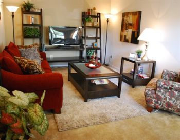 hannahlynn54 profile photo