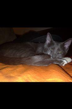 snowboard20 profile photo