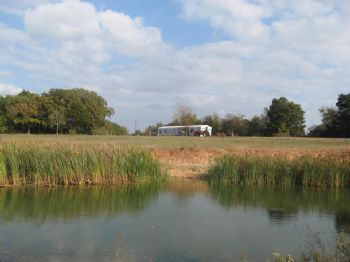 kossecat profile photo