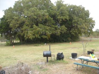 kossecat profile photo