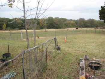 kossecat profile photo