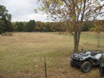 kossecat profile photo