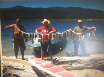 Soulsword profile photo