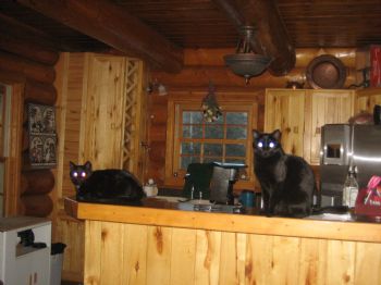 kikilynn1957 profile photo