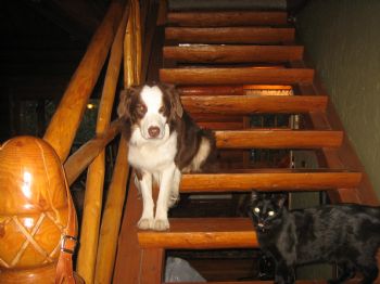 kikilynn1957 profile photo