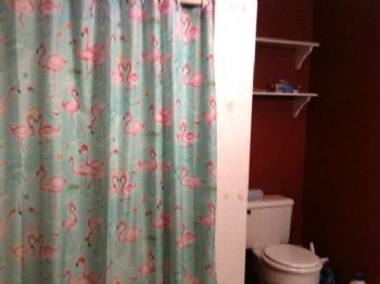 SaraT71 profile photo