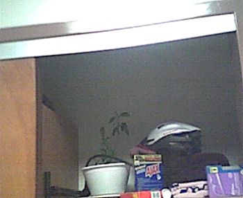 tjenkins profile photo