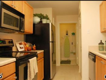 bnsmith51 profile photo