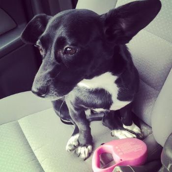 kaydav profile photo