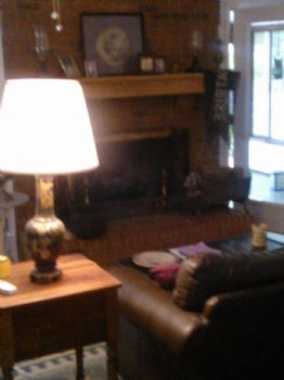 sailhorse profile photo