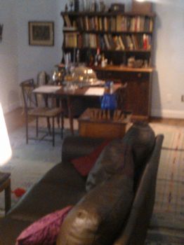 sailhorse profile photo