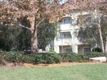 Typist profile photo