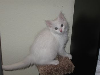 JennyK18 profile photo