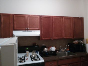 Noel S profile photo