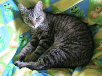 amber dudley profile photo