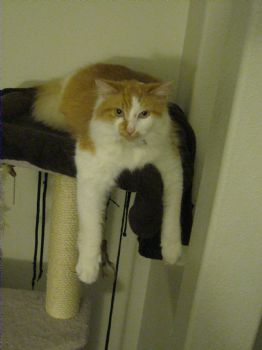 amber dudley profile photo