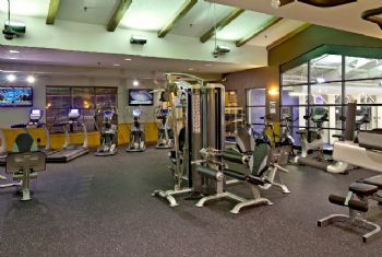 rohoxbaby profile photo