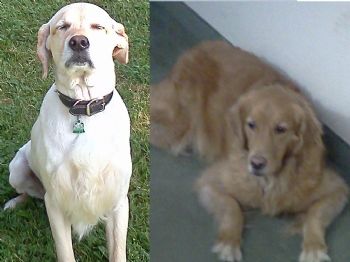 DKeenan007 profile photo