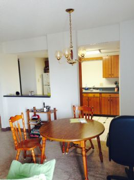 todonn4 profile photo