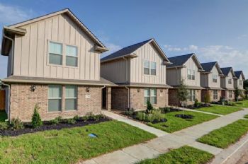 James White profile photo