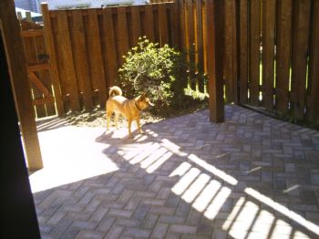 boojiered profile photo