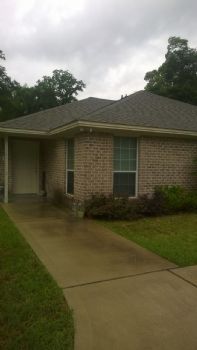 vln_13 profile photo