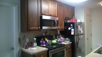 vln_13 profile photo