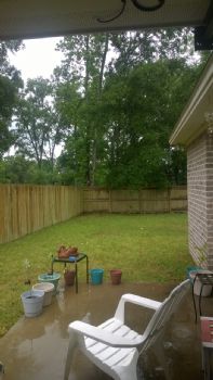 vln_13 profile photo