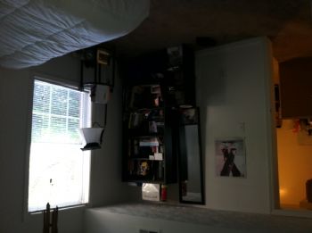 sshashaa profile photo