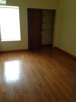 sha.zhu profile photo