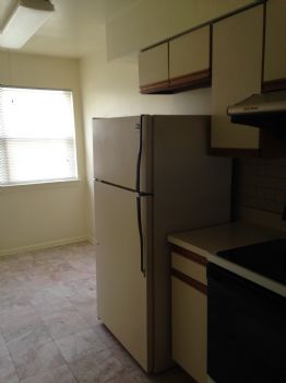 sha.zhu profile photo