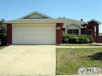 taylawson profile photo