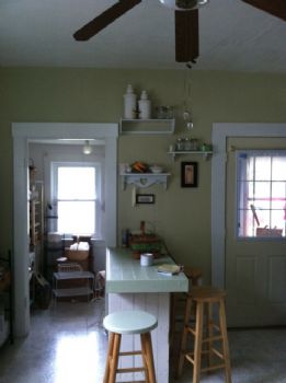 colorgirl profile photo