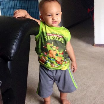 Hippiedes profile photo