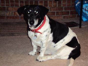 trichardso profile photo