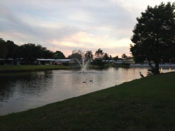 wilshar profile photo