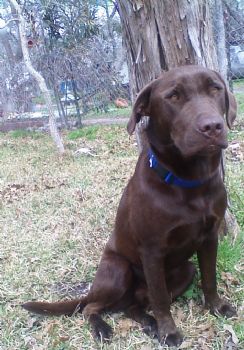 kimisue84 profile photo