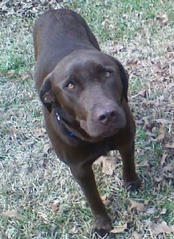 kimisue84 profile photo