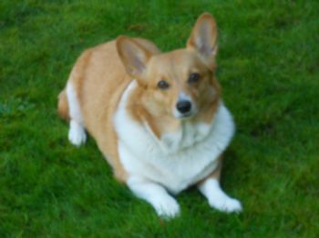 Wkranz profile photo