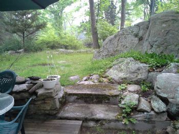 growplants profile photo