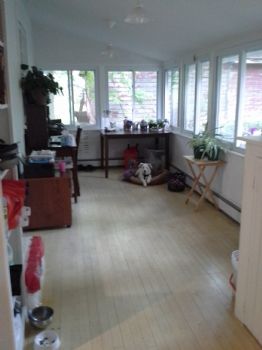 growplants profile photo