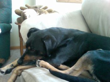 bethp09 profile photo