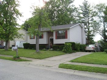 Loneskier profile photo