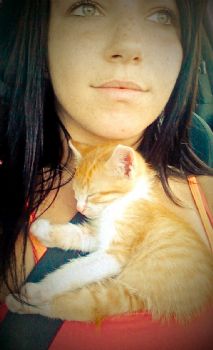 ibolya profile photo