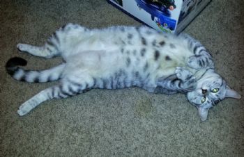 LeNoodle87 profile photo