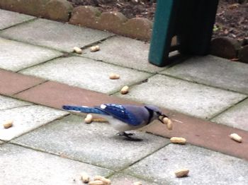 Hunny880 profile photo