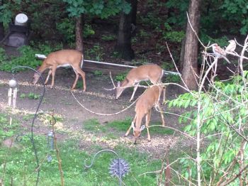 Hunny880 profile photo