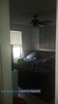 mollyhoff profile photo